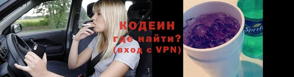 ГАЛЛЮЦИНОГЕННЫЕ ГРИБЫ Абаза