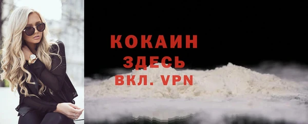 шишки Новодвинск