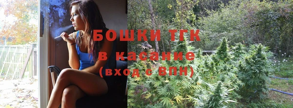 ГАЛЛЮЦИНОГЕННЫЕ ГРИБЫ Абаза