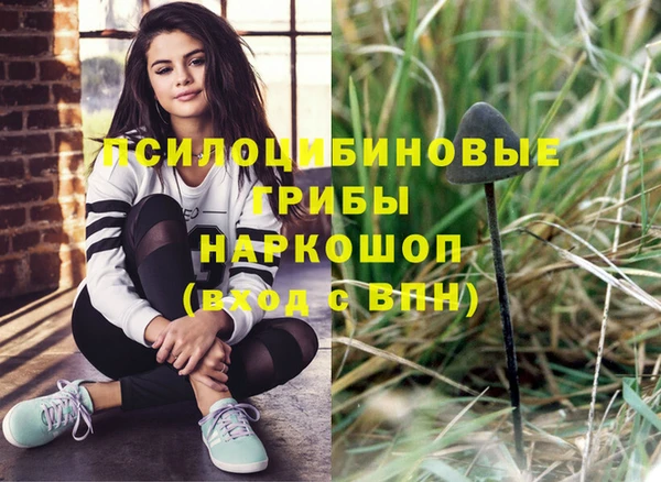ГАЛЛЮЦИНОГЕННЫЕ ГРИБЫ Абаза