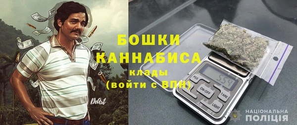 ГАЛЛЮЦИНОГЕННЫЕ ГРИБЫ Абаза