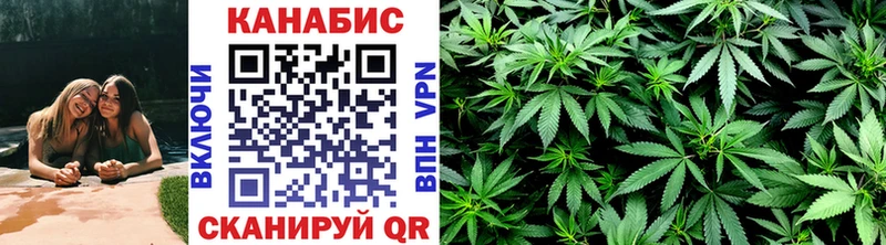 МАРИХУАНА сатива  Почеп 